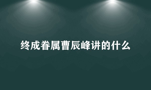 终成眷属曹辰峰讲的什么