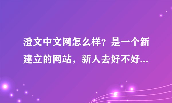 澄文中文网怎么样？是一个新建立的网站，新人去好不好？大家帮帮忙，谢谢。