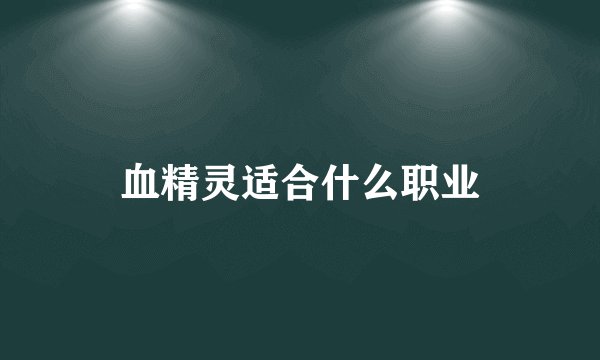 血精灵适合什么职业