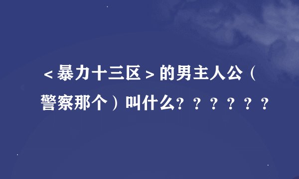 ＜暴力十三区＞的男主人公（警察那个）叫什么？？？？？？