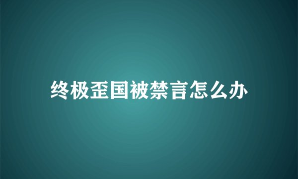 终极歪国被禁言怎么办