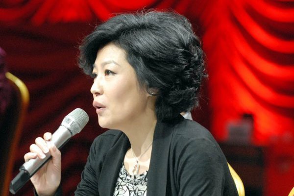 哈文简历及个人资料 李咏的妻子哈文有结婚了吗