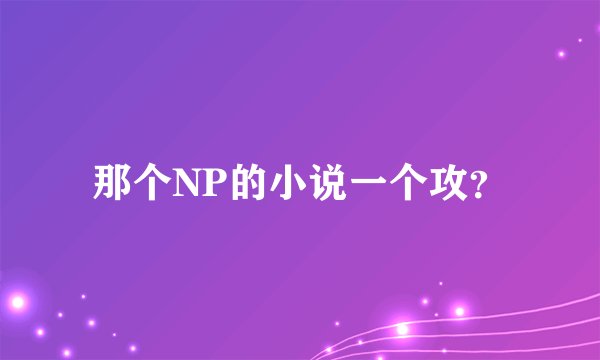 那个NP的小说一个攻？