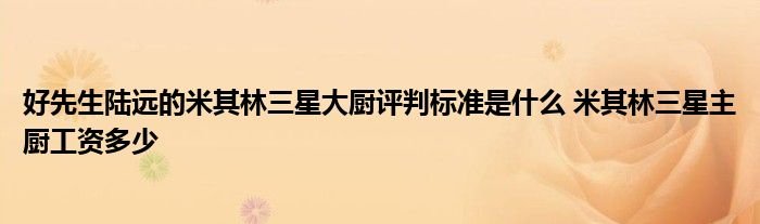 好先生陆远的米其林三星大厨评判标准是什么米其林三星主厨工资多少