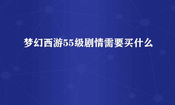 梦幻西游55级剧情需要买什么