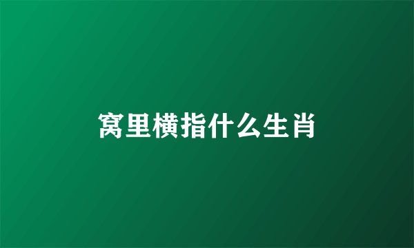窝里横指什么生肖