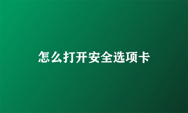 怎么打开安全选项卡