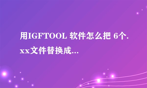 用IGFTOOL 软件怎么把 6个.xx文件替换成1个.pp文件