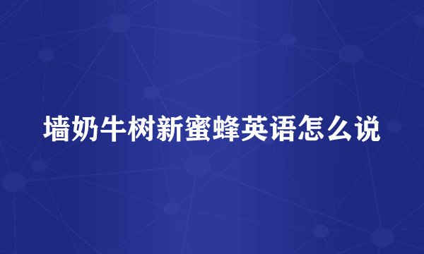 墙奶牛树新蜜蜂英语怎么说