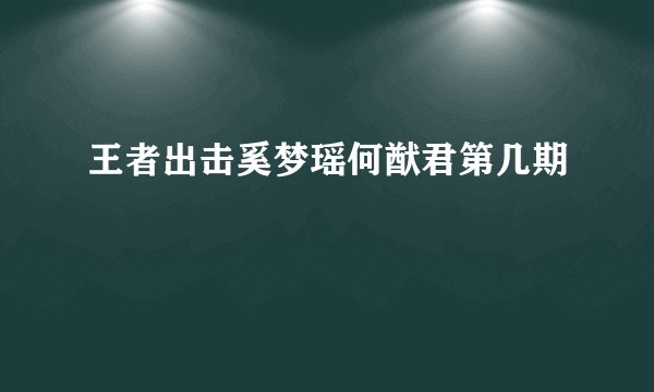 王者出击奚梦瑶何猷君第几期