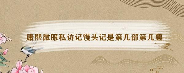 康熙微服私访记吃馒头是第几部