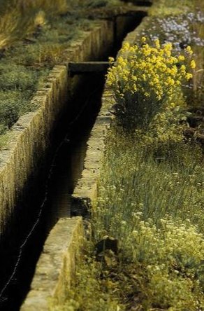 沟的拼音和组词组