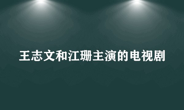 王志文和江珊主演的电视剧
