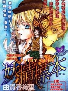 妖精标本的故事简介