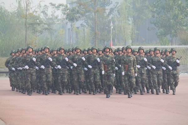 你觉得影视剧里的职业杀手和特种兵打起来谁更厉害？