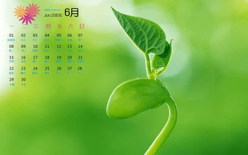 6月是什么季节呀？