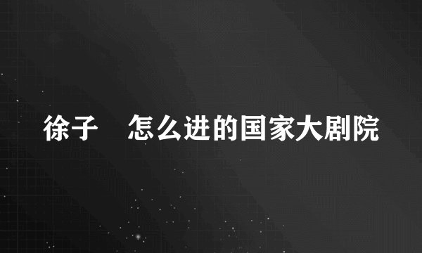 徐子瑄怎么进的国家大剧院