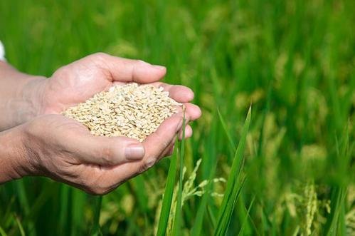 餐厅为杜绝浪费采用末位淘汰制，这种做法可以被推广吗？