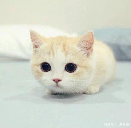 如果忽然间喜欢自己的男闺蜜该怎么办?