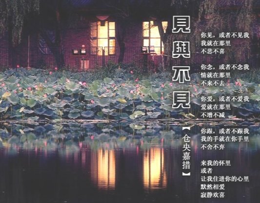 见与不见的作者是谁？