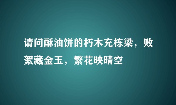 请问酥油饼的朽木充栋梁，败絮藏金玉，繁花映晴空