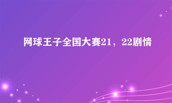 网球王子全国大赛21，22剧情
