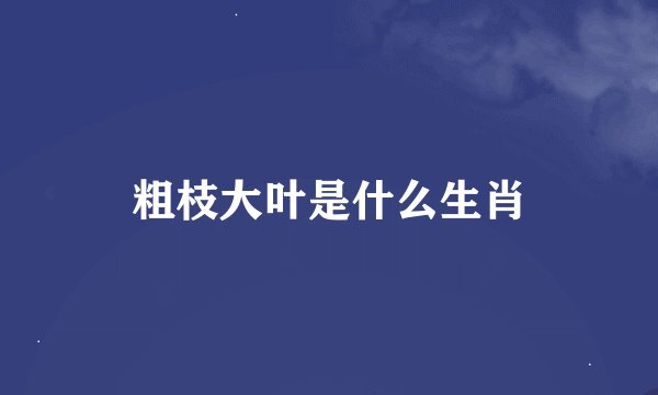 粗枝大叶是什么生肖
