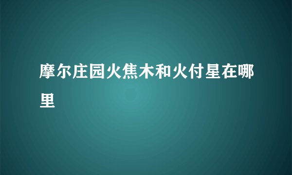 摩尔庄园火焦木和火付星在哪里