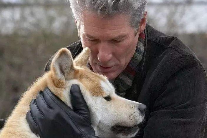 上海一宠物犬在小区路灯杆旁撒尿触电死亡，主人该向谁索赔？