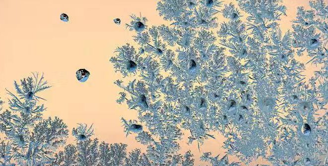 吉林网友拍摄冰窗花以肉眼可见速度形成,当地人是如何应对寒冬的?