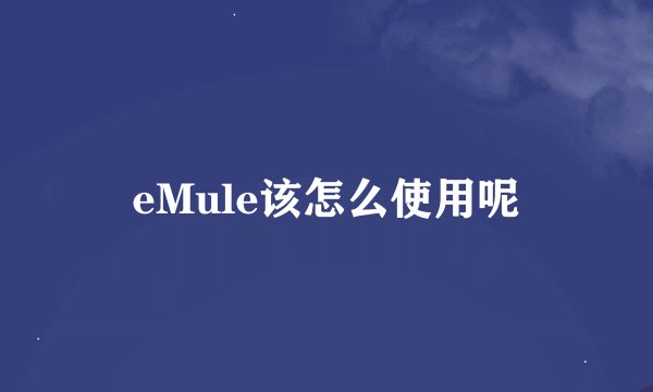 eMule该怎么使用呢