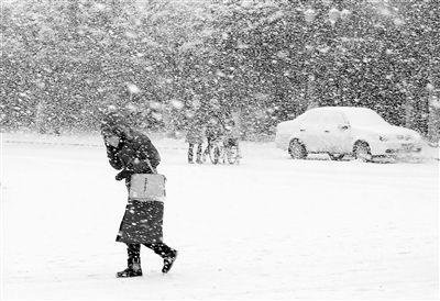 辽宁暴雪爸爸带儿子骑马去吃饭，暴雪天该带孩子出行吗？