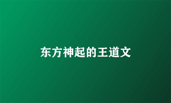 东方神起的王道文