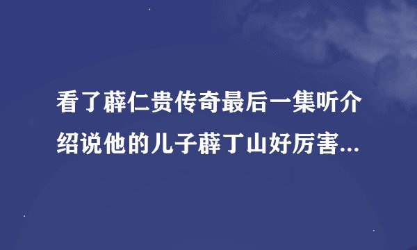 看了薜仁贵传奇最后一集听介绍说他的儿子薜丁山好厉害，请问还拍了续集吗？