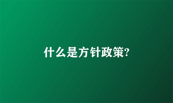 什么是方针政策?