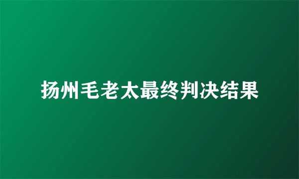 扬州毛老太最终判决结果