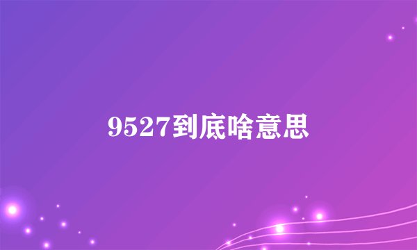 9527到底啥意思