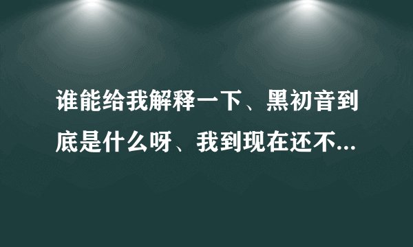 谁能给我解释一下、黑初音到底是什么呀、我到现在还不是很明白
