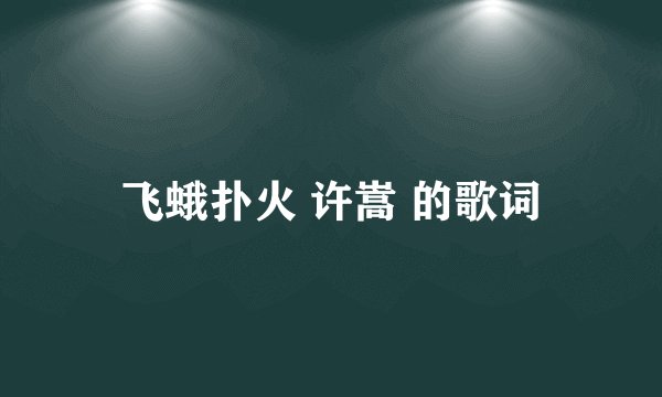 飞蛾扑火 许嵩 的歌词