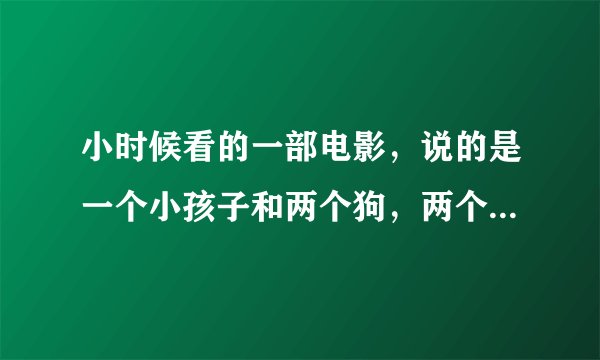 小时候看的一部电影，说的是一个小孩子和两个狗，两个狗叫狼牙，公主，谁知道那部电影叫什么？
