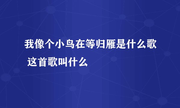 我像个小鸟在等归雁是什么歌 这首歌叫什么