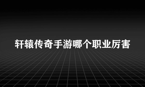 轩辕传奇手游哪个职业厉害