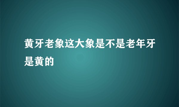 黄牙老象这大象是不是老年牙是黄的