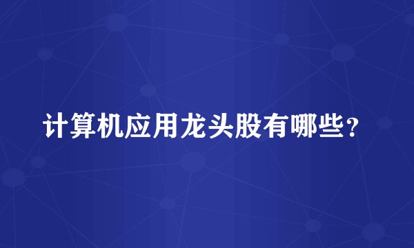 计算机应用龙头股有哪些？