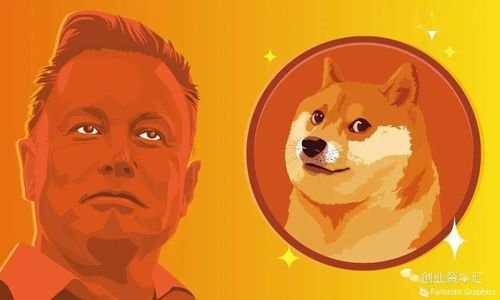 马斯克的这句话竟让狗狗币雪崩式狂泻，马斯克为何如此不看好狗狗币？