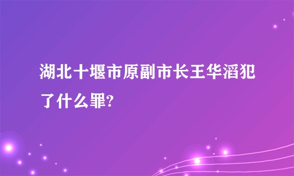 湖北十堰市原副市长王华滔犯了什么罪?