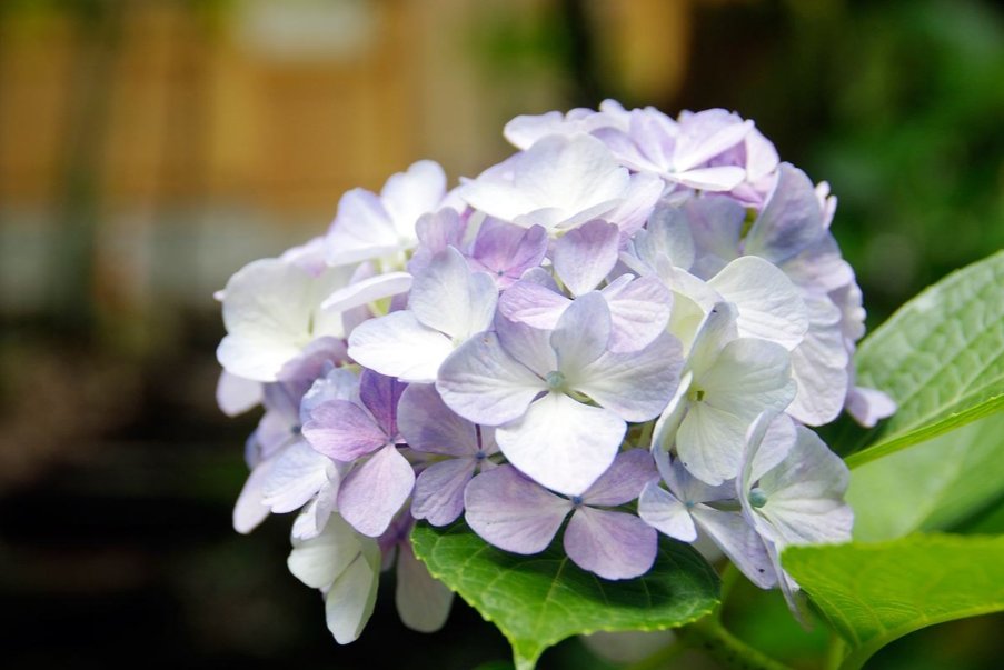 月坠花折正确的意思