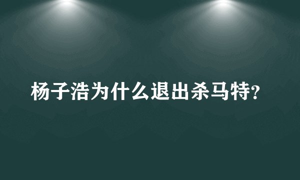 杨子浩为什么退出杀马特？