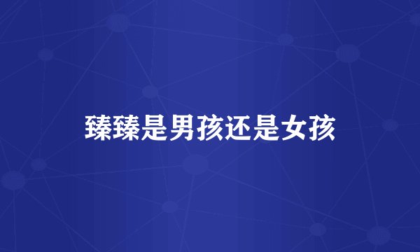 臻臻是男孩还是女孩