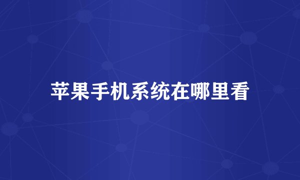 苹果手机系统在哪里看